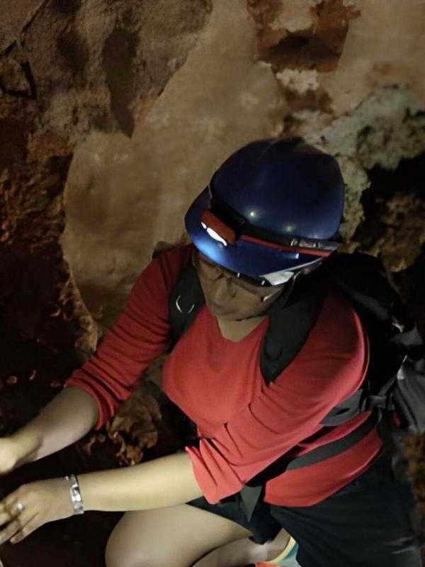 L'histoire secrète des paysages