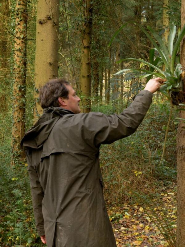 La civilisation des arbres