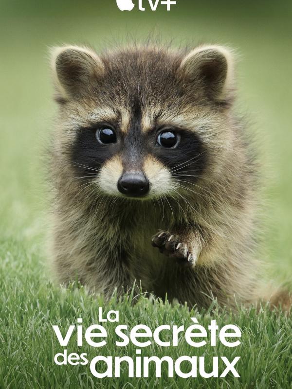 La Vie secrète des animaux