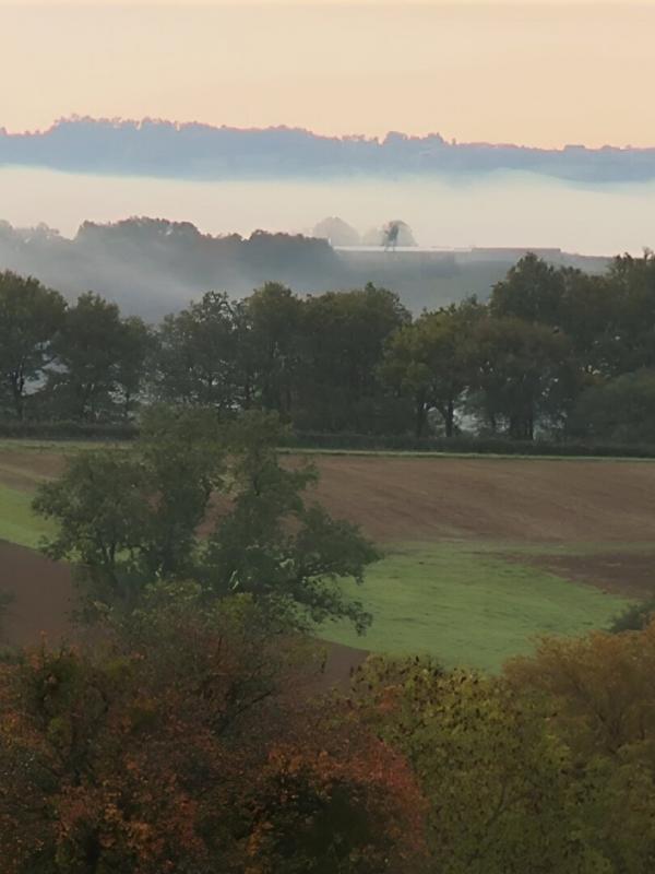 Les carnets de Julie