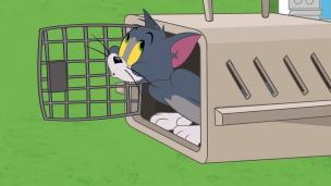 Tom et Jerry Show S2 E51