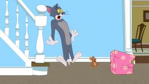 Tom et Jerry Show S4 E17