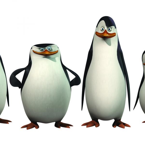 S2 E17 Les Pingouins de Madagascar