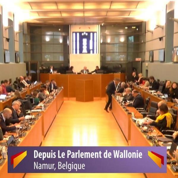 Questions parlementaires de la région Wallonne