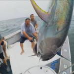 Pêche à haut risque