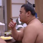 Japon : dans le monde ultra secret des sumos