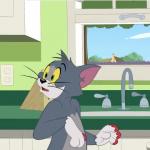 S4 E226 Tom et Jerry Show