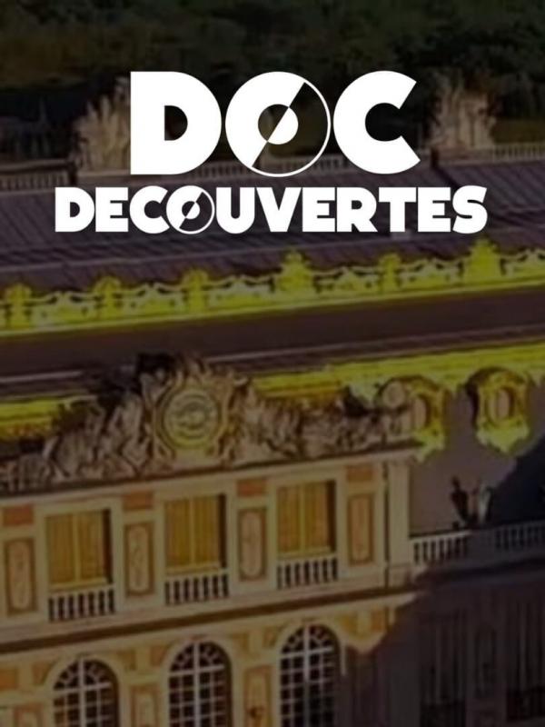 Doc découvertes : 100 jours au château de Versailles